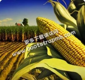 官方认证，信息权威可靠 - FIFA官方网站
