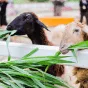 搜索 - FIFA官方网站